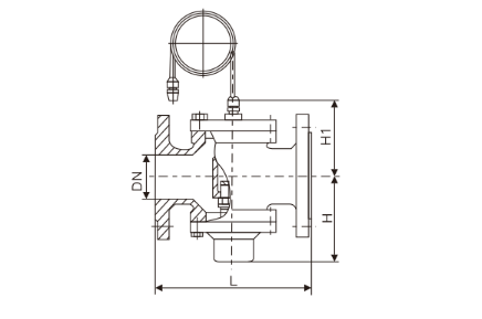 自(zi)力式壓差控制(zhi)閥(圖1) 自力式壓(yā)差控制閥(圖1)