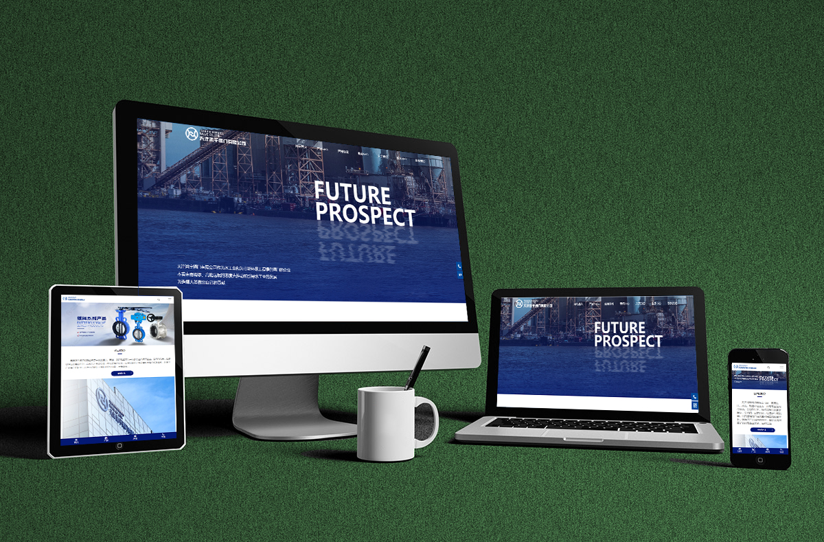 熱(re)烈慶賀(hè)南京博(bó)高閥門(men)有限公(gōng)司網站(zhàn)正式開(kai)通