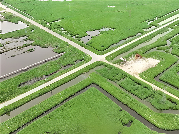 打(dǎ)造綠色低碳(tan)油田 做綠色(sè)發展的“頂梁(liáng)柱”